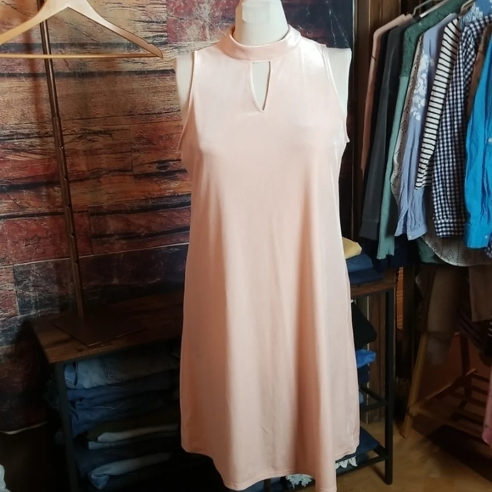 WORTHINGTON | Pink Velvety Sleeveless Dress